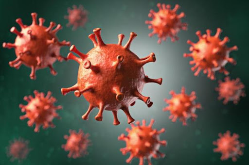 Mundo ultrapassa 805 mil mortes pelo novo coronavírus Mundo ultrapassa 805 mil mortes pelo novo coronavírus