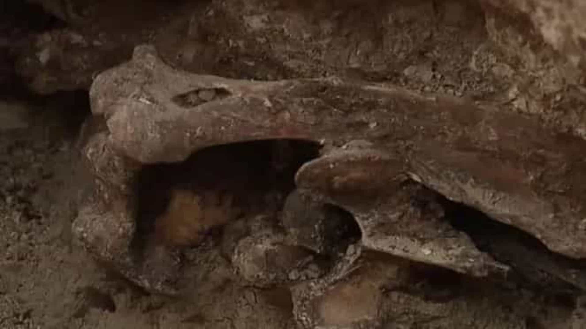 Escavações para piscina revelam esqueleto com 14 mil anos