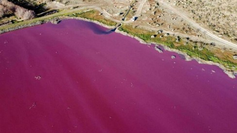 Lagoa no sul da Argentina fica cor-de-rosa devido à poluição