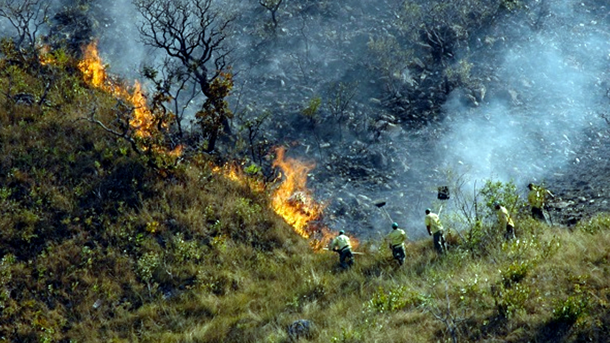 Governo inicia fiscalização ostensiva para reprimir incêndios florestais