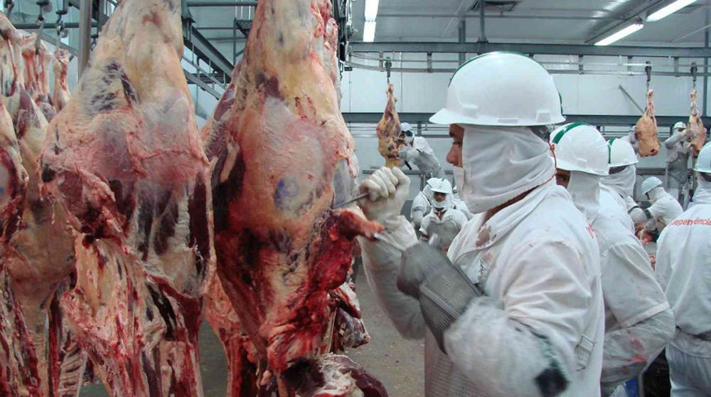 Com exportação em alta, cardápio sem carne é ‘tendência’ em 2022