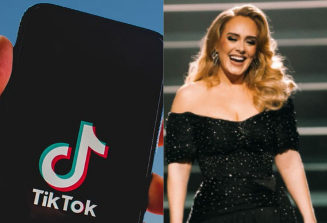 TikTok vai levar fã brasileiro a show da Adele em Londres; veja como participar
