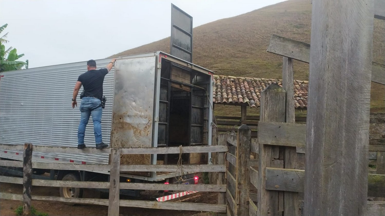 Policiais interceptam ladrões de gado, prendem um e dois estão foragidos em Manhuaçu